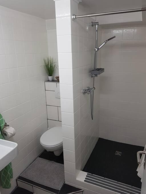 Ferienwohnung Bela, Naehe Nuerburgring Luxem المظهر الخارجي الصورة